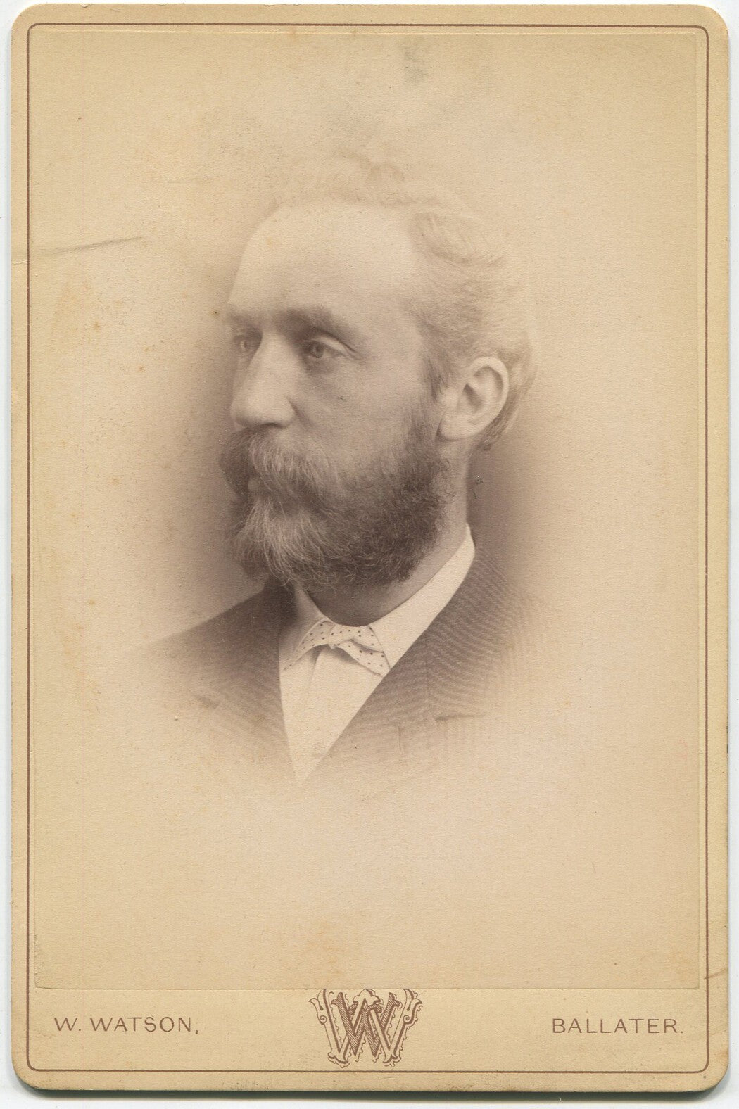 Vintage Cabinet Card Portrait - Man with Blow-Back Hair & Beard, Historical