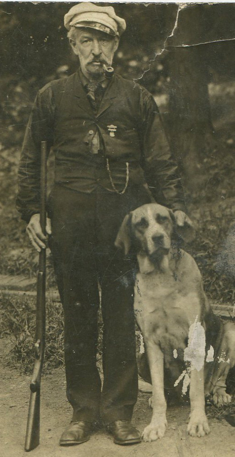 Vintage Photo Postcard: Man in Hat with Pipe & Shotgun, Hound Dog Portrait -