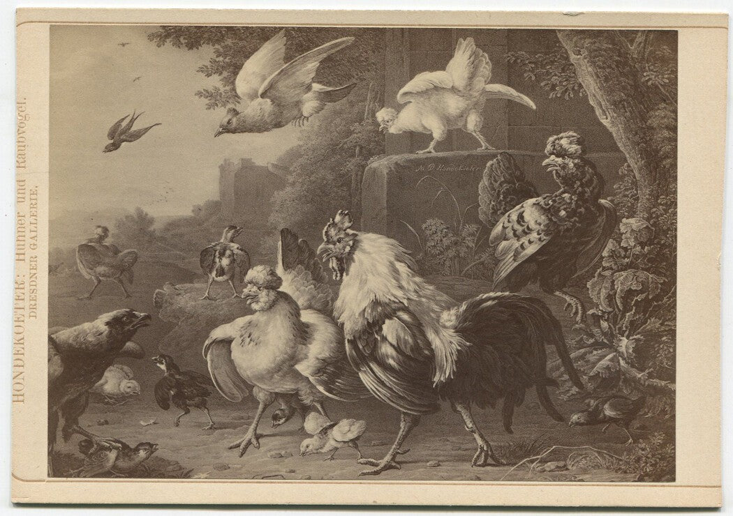 Vintage cabinet card photograph of chickens and birds, original maker-marked
