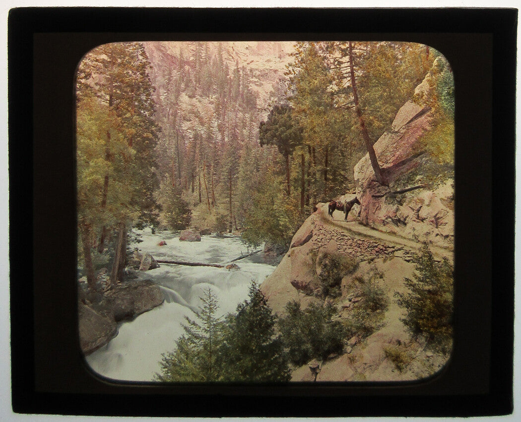 HORSE AT POINT REY, YOSEMITE VALLEY. PHOTO ON GLASS, HAND COLORED.