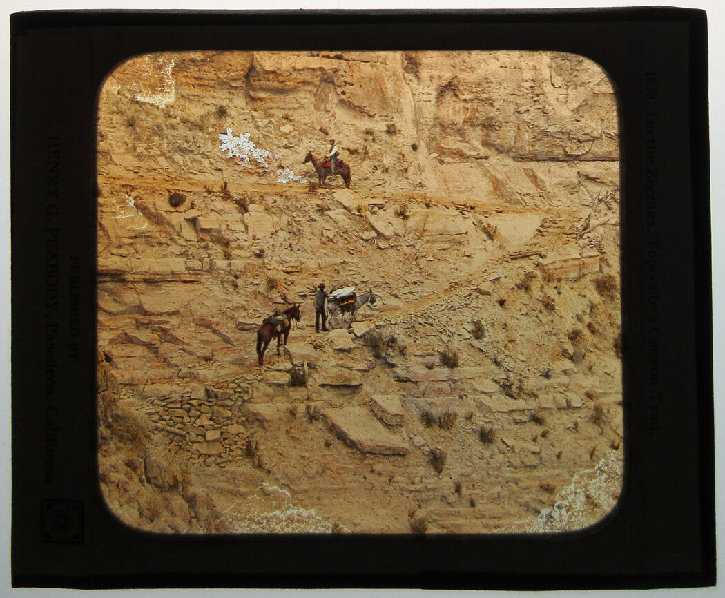 HORSES, MULES, GRAND CANYON TRAIL. PHOTO ON GLASS, HAND COLORED.