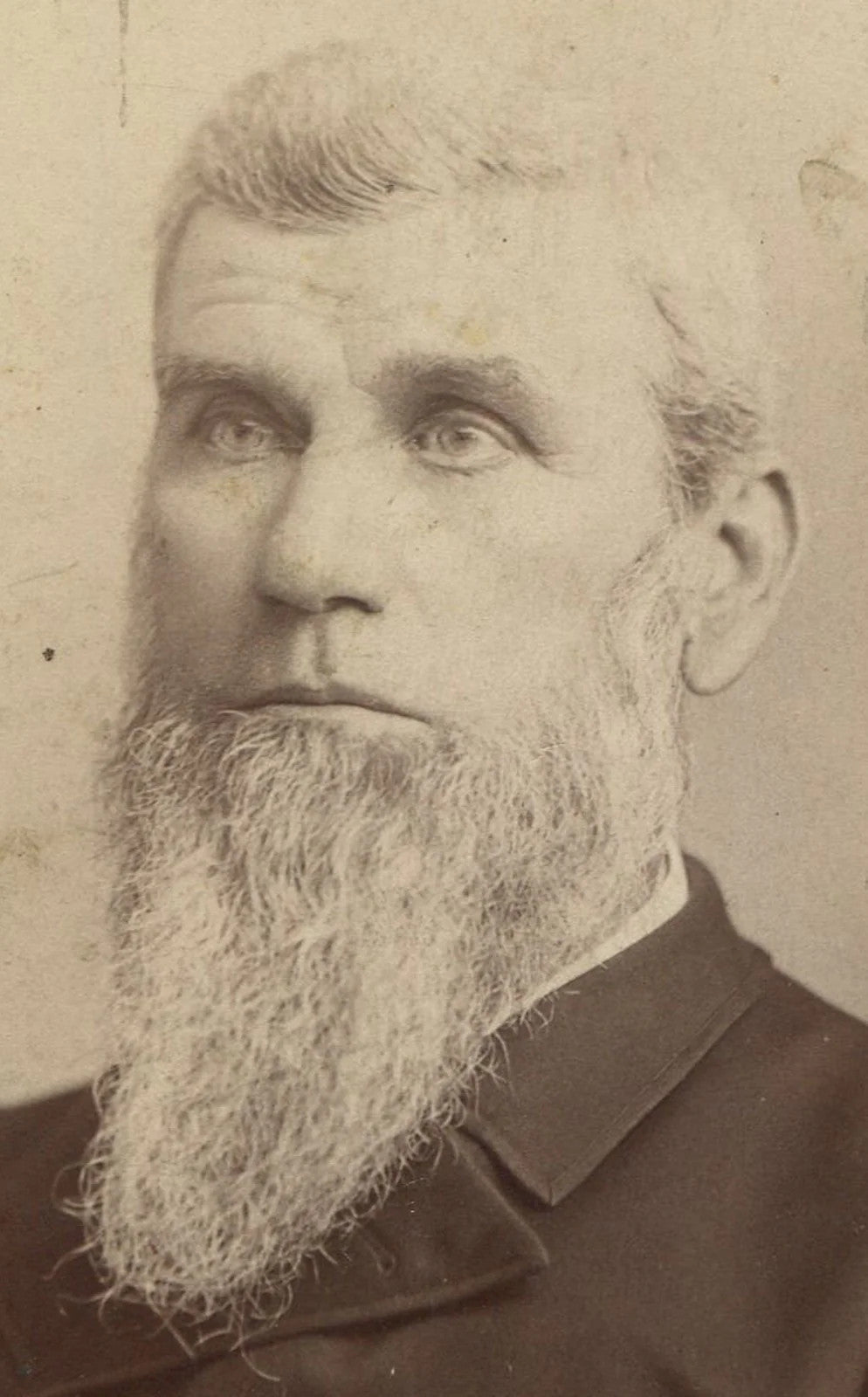 Vintage Cabinet Card Portrait: Older Man with Relentless Beard, Hagerstown, MD -