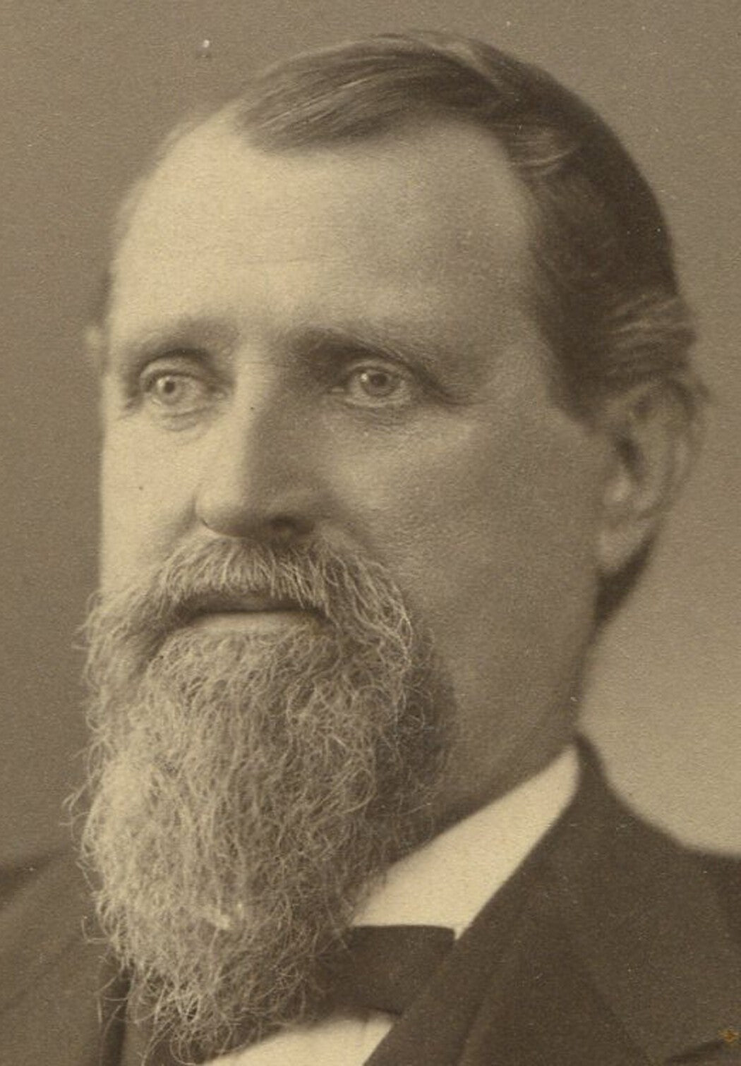 Vintage Cabinet Card Portrait: Alliance, Ohio – Wall-Eyed Man with Long Beard,