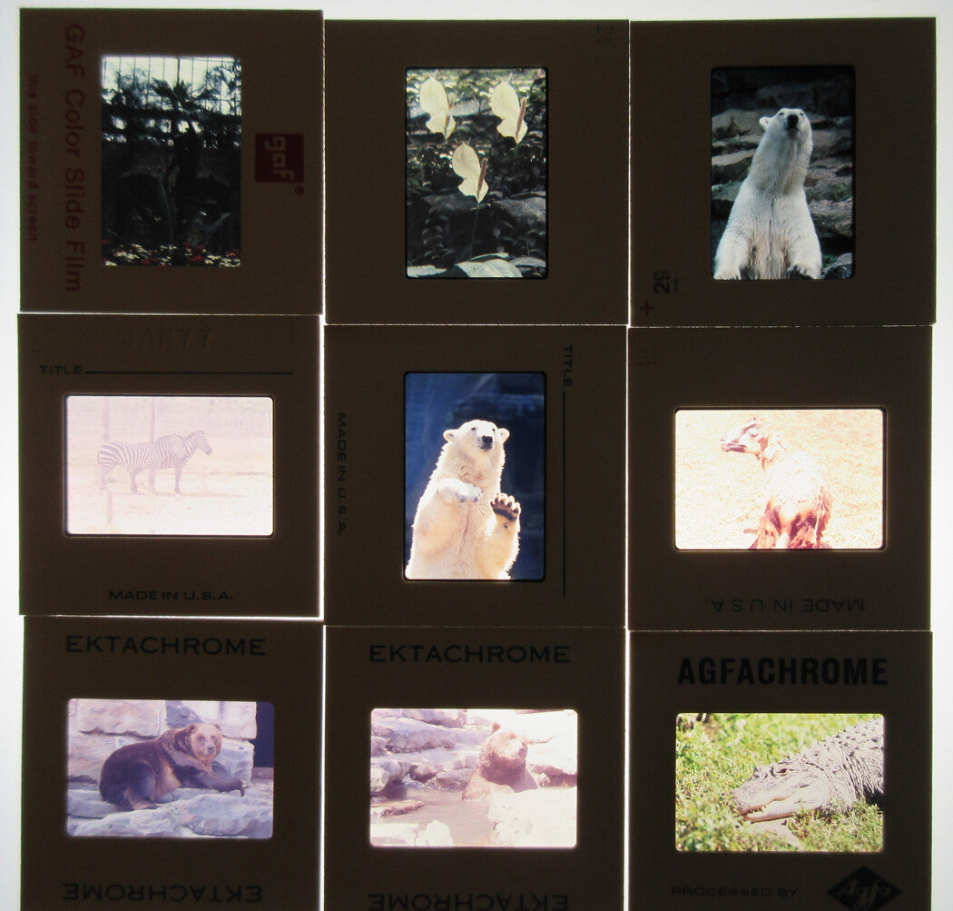 CREATIVE LIGHTING EFFECTS, MISC. 50 PLUS KODACHROME SLIDES. 1970s.