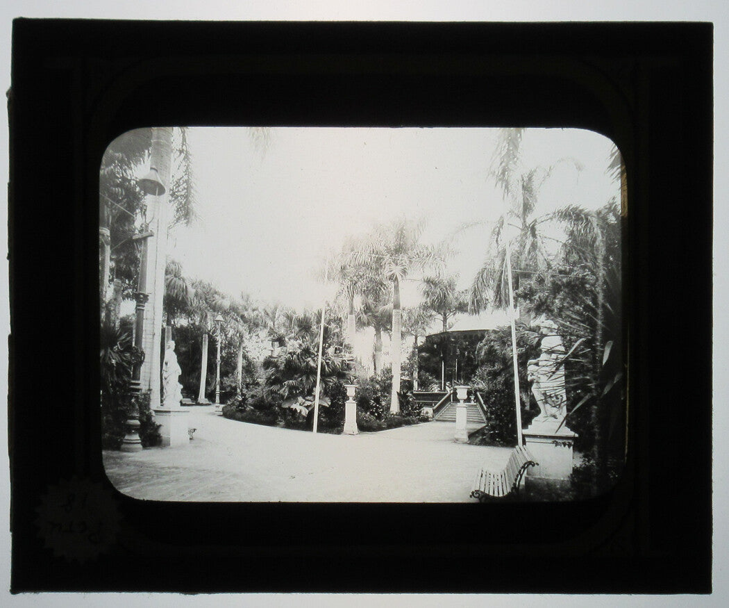 PALM GARDEN. LIMA, PERU. PHOTO ON GLASS.