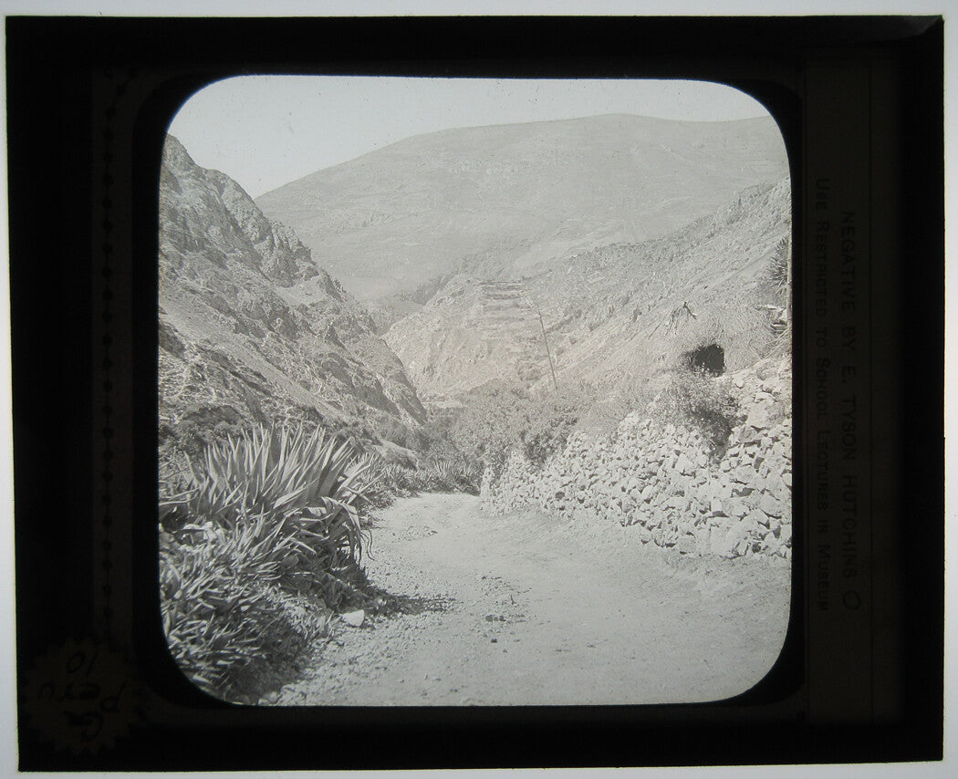 HIGHWAY BETWEEN TARMA AND RIO PERENE, PERU. PHOTO ON GLASS.