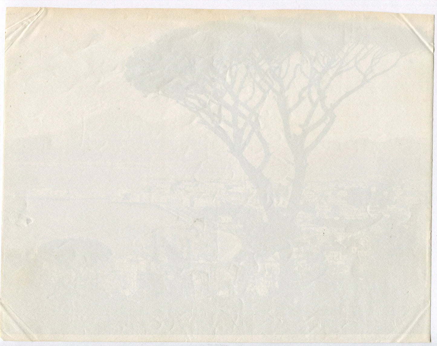 Vintage Bird's-Eye View of Naples, Italy - Unmounted Albumen Photo 8x10, Original Vintage Photograph