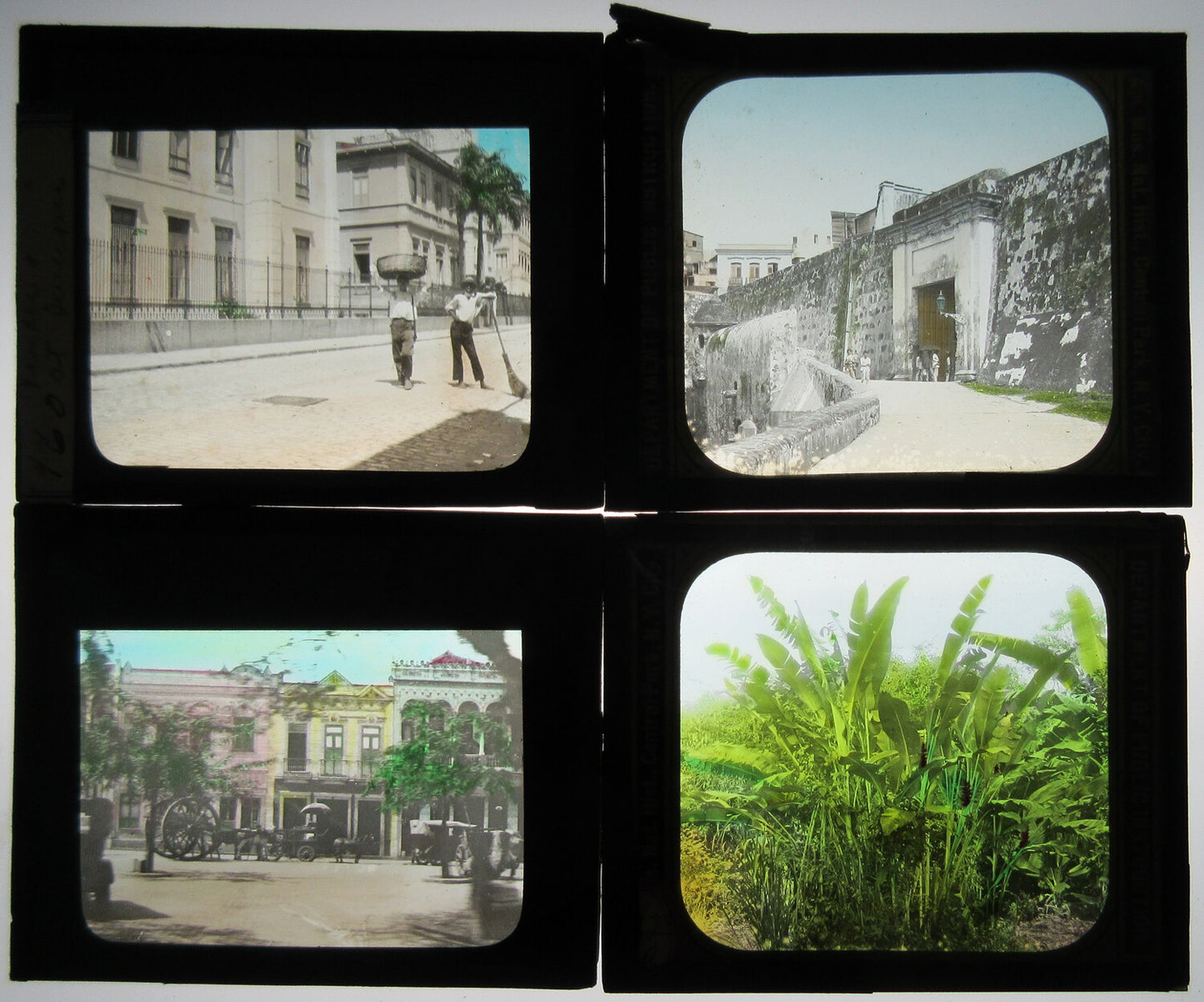 STREET SCENES, PLANTS. BRAZIL. TINTED PHOTO ON GLASS 4 SET.