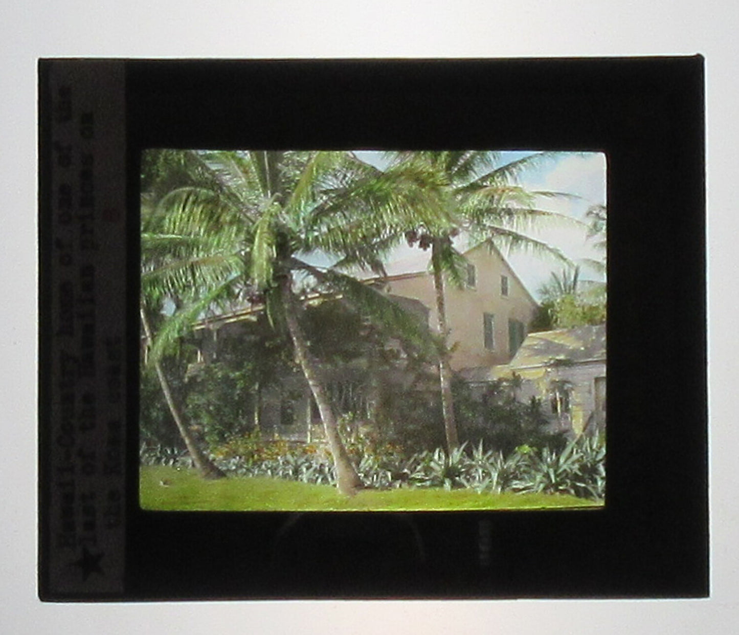 HOME OF LAST PRINCE OF HAWAII. HAND COLORED PHOTO ON GLASS. TINTED LANTERN SLIDE