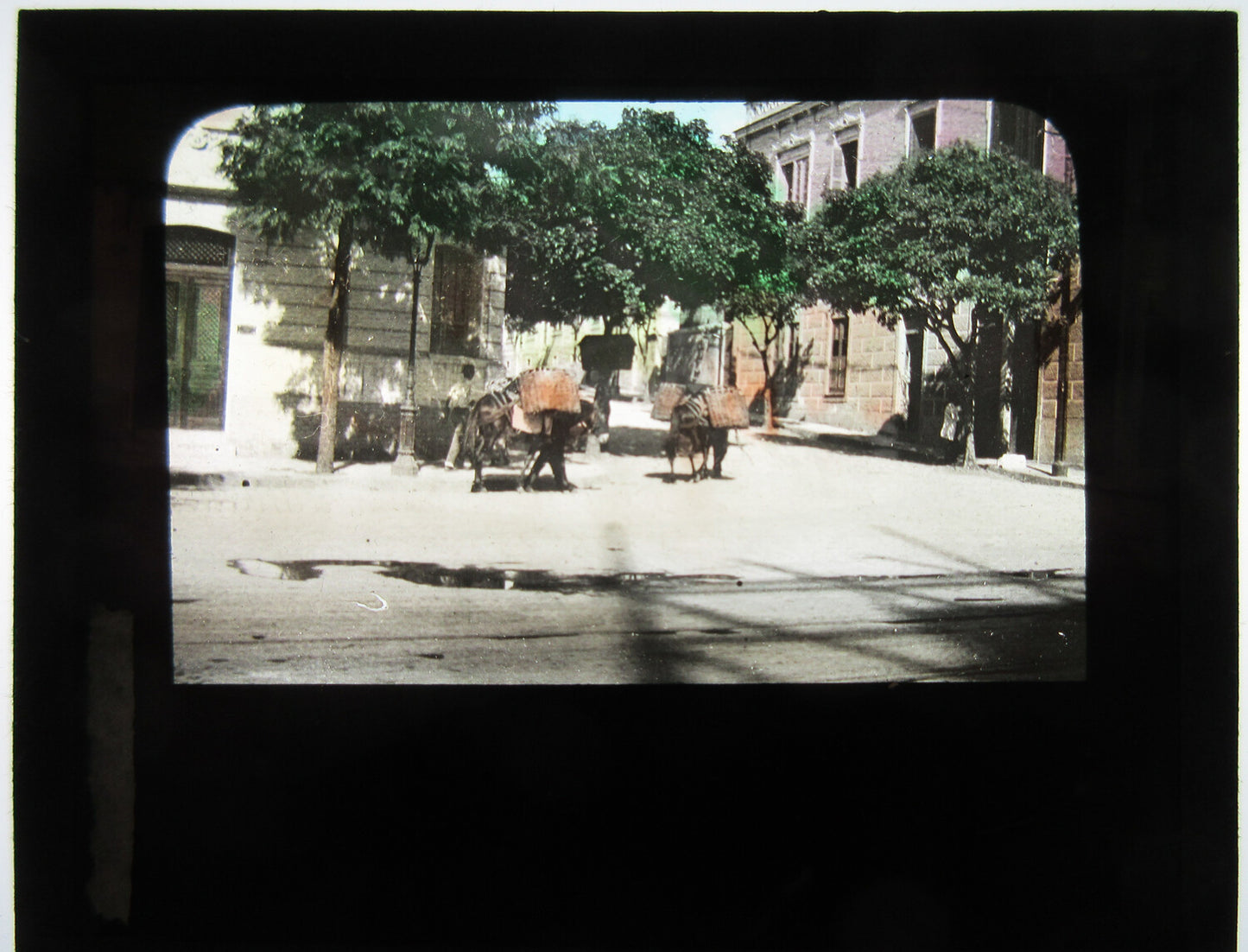 PACK MULES CARRYING WARES TO MARKET. TINTED LANTERN SLIDE.