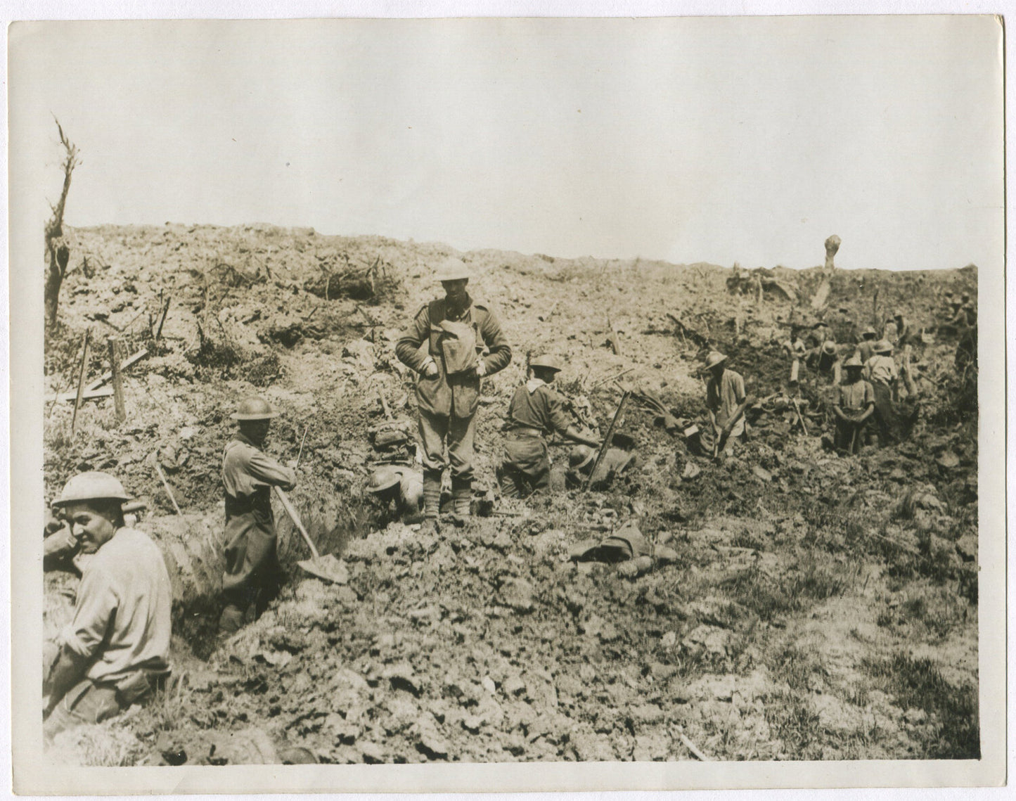 Vintage WWI 8x10 Photo: British Sappers Digging a Communication Trench --