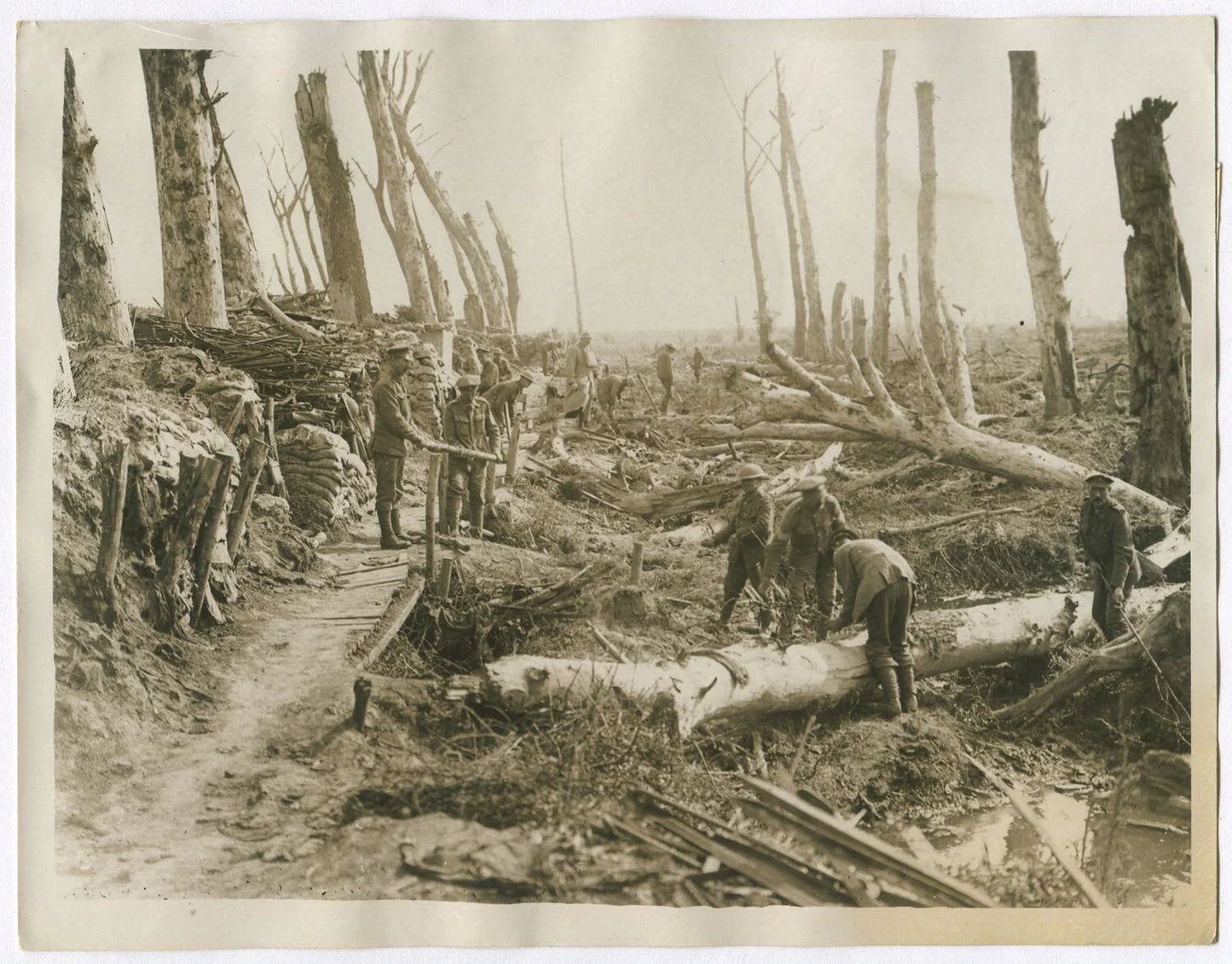 TOTAL DESTRUCTION NEAR ZILLEBEKE, NEAR FLANDERS, BELGIUM. WWI. (8x10 REPRINT)