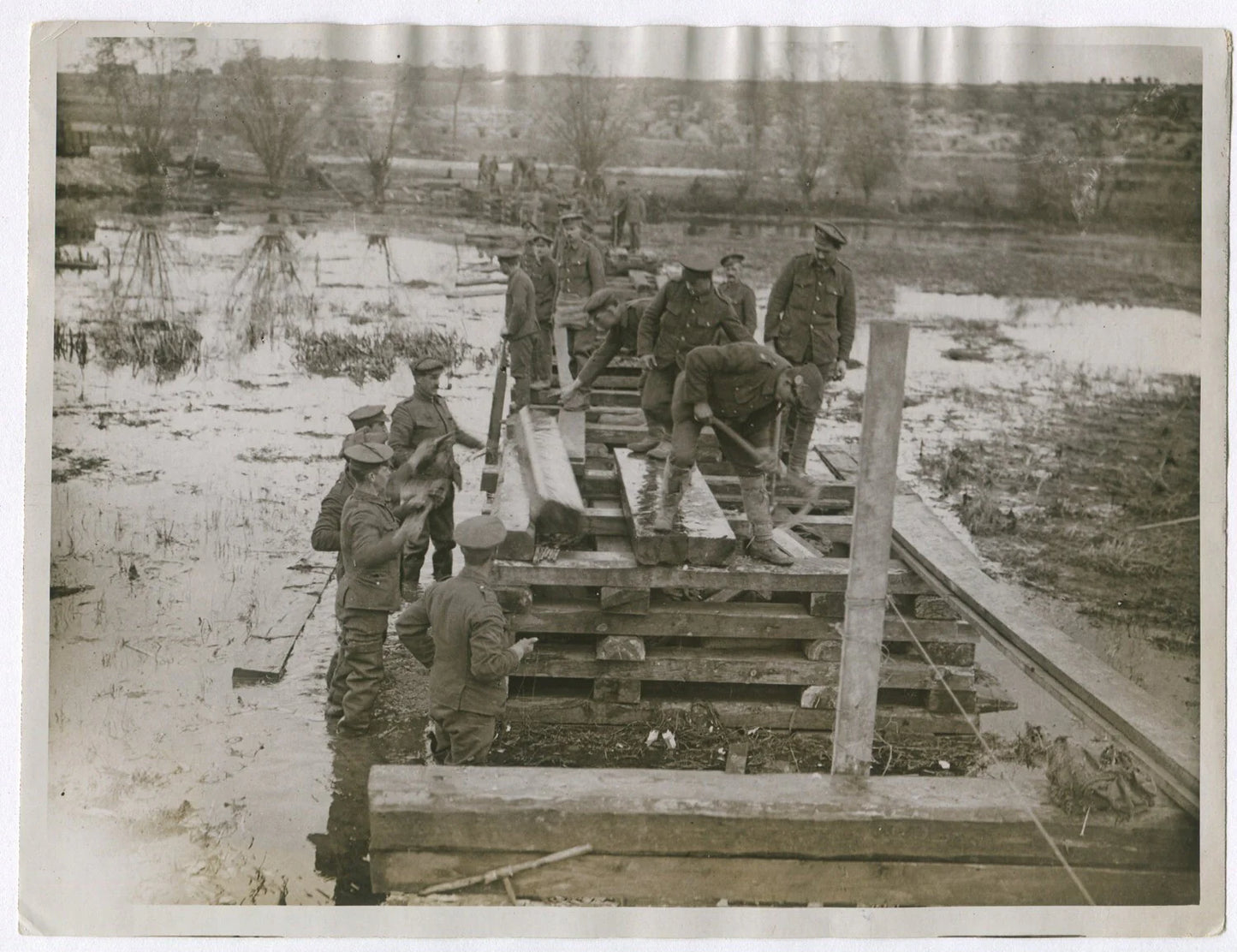 BRITISH ENGINEERS BRIDGE A SWAMP. WWI. (8x10 REPRINT)