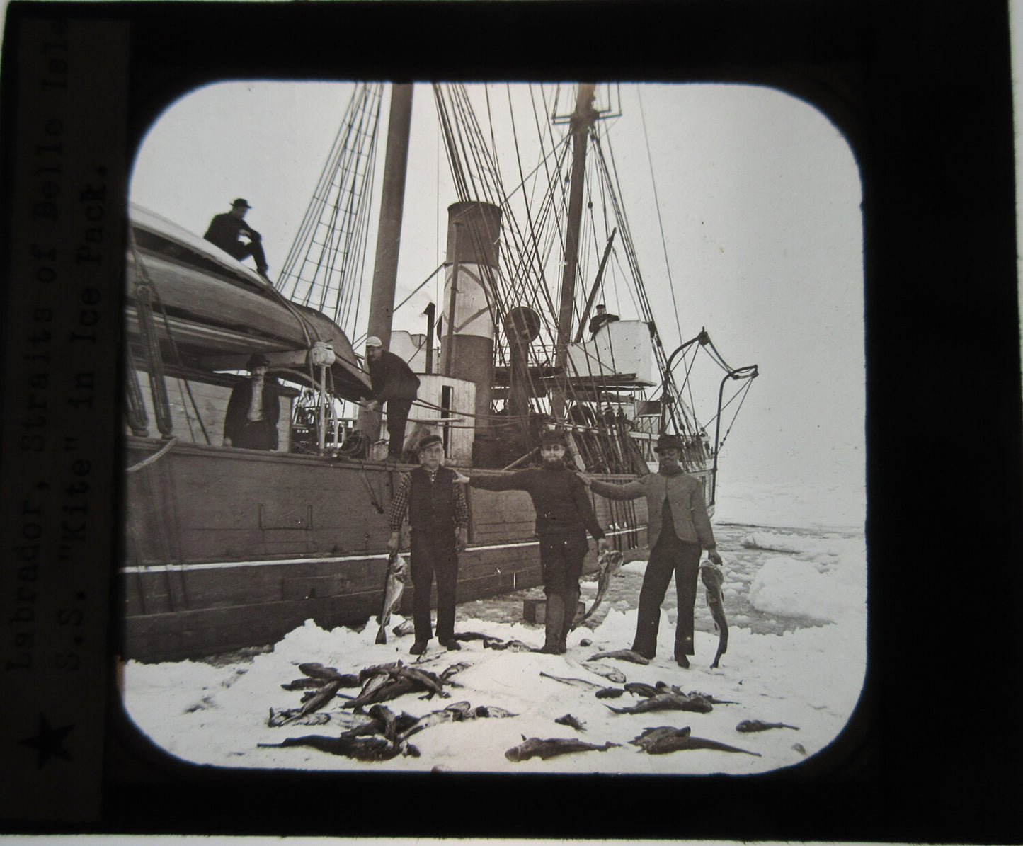 SHIP HITS ICE. LABRADOR, STRAITS OF BELLE ISLE. LANTERN SLIDE.