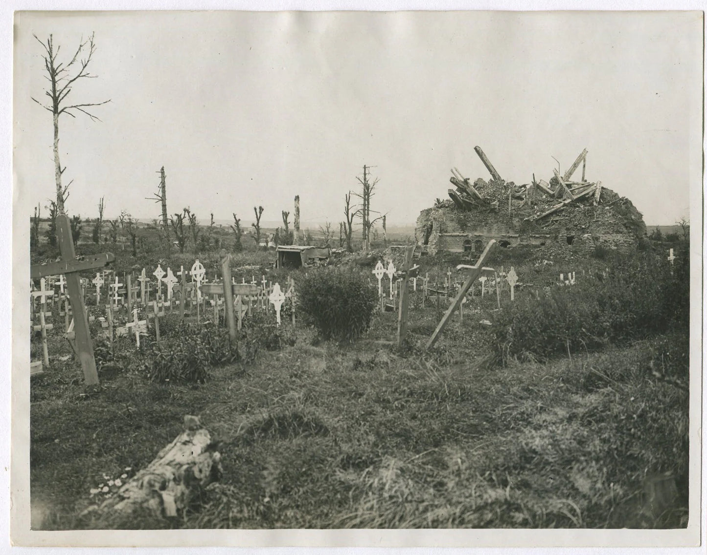 Vintage World War I 1917 Graves of the Fallen 8x10 Photo Print | Battlefield