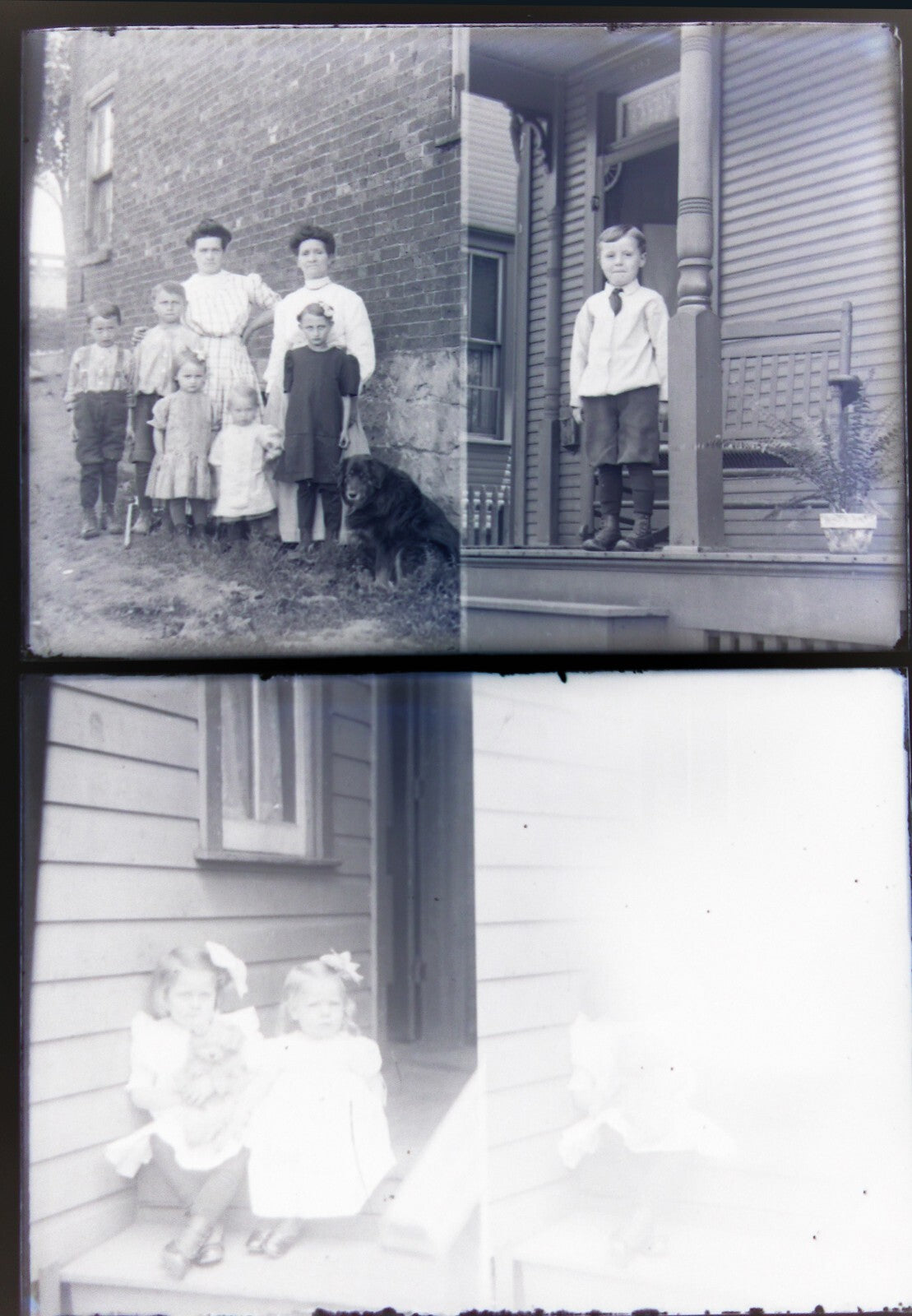 FAMILY ON PORCH W/FAMILY DOG. MULTIPLE IMAGES ON TWO 5X7 GLASS PLATE NEGATIVES.
