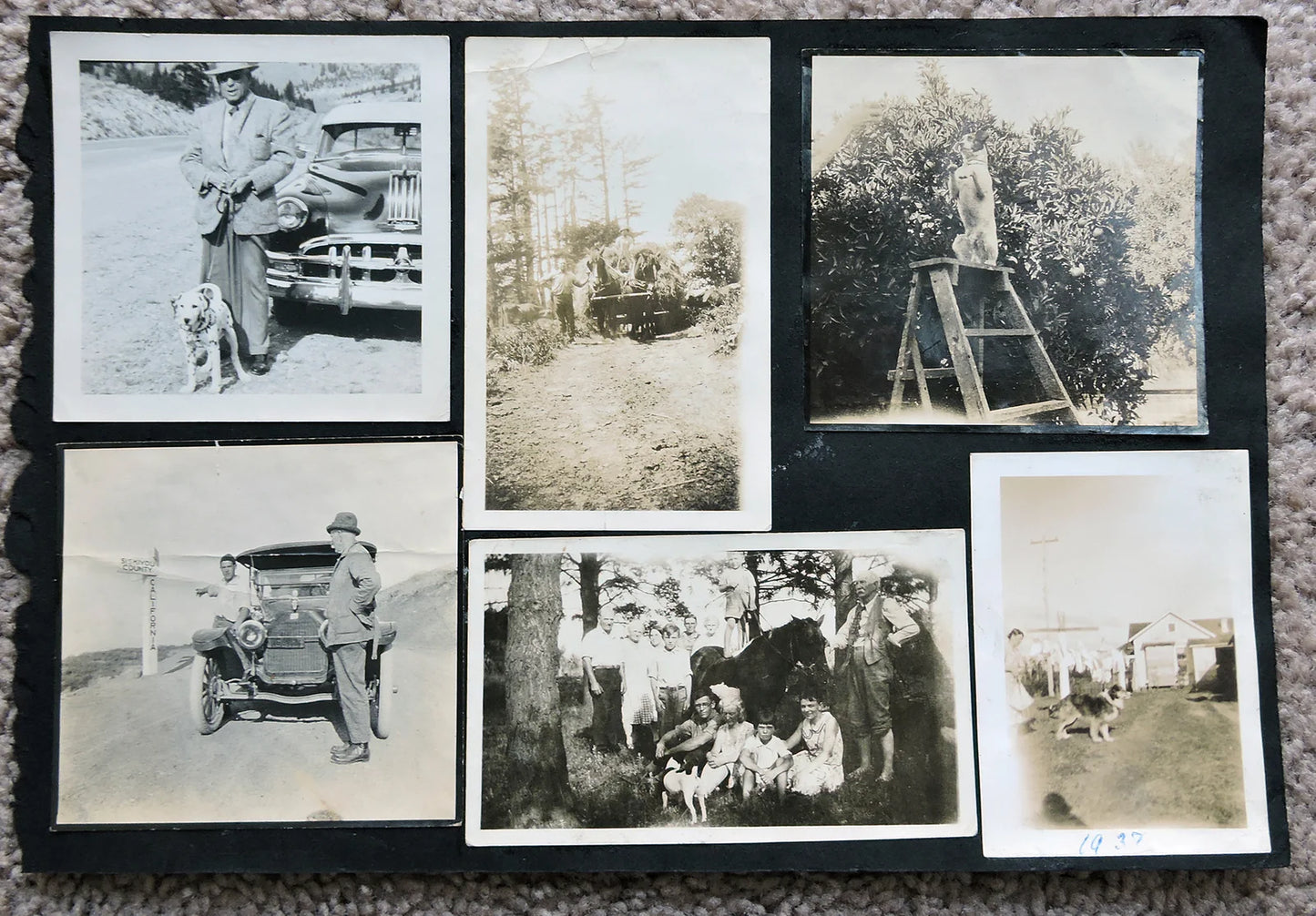 1937 ORIG FAMILY PHOTOS DOGS/HORSE, CAR, CALIFORNIA STREET SIGN