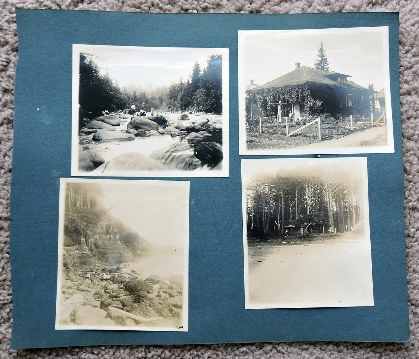 ORIG FAMILY OUTDOOR PHOTOS - RUGGED LANDSCAPE, TALL TREES + STREAM W/ ROCKS