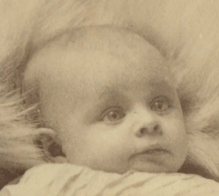 CAB CARD PHOTO CUTE BABY FROM HOMESTEAD, PA, BY MOYE, GRAPHIC BACK