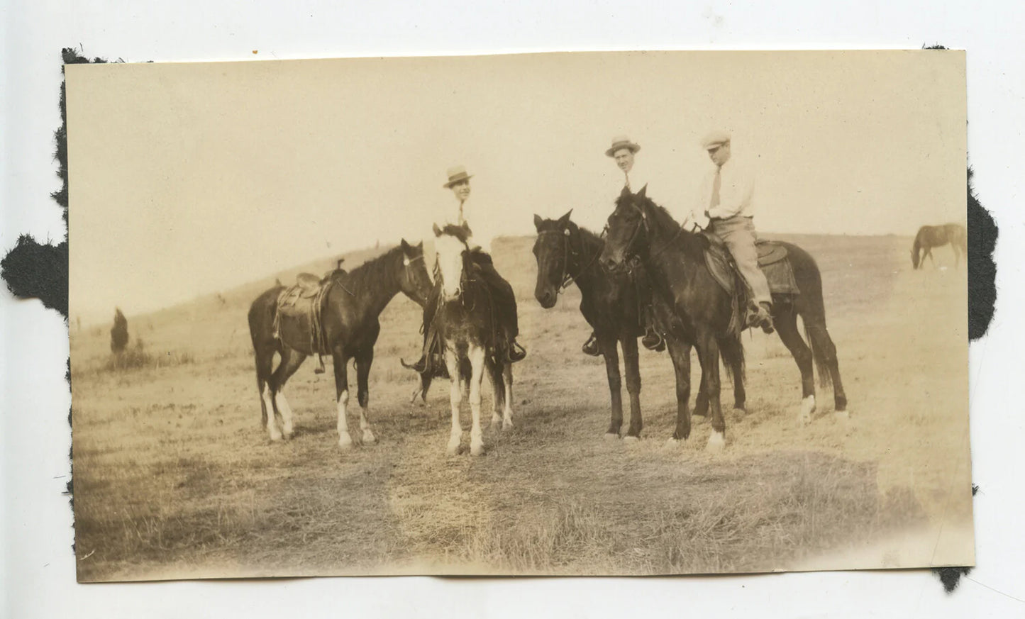 3 MEN RIDINING HORSES COUNTRYSIDE BACKGROUND VINT PHOTO