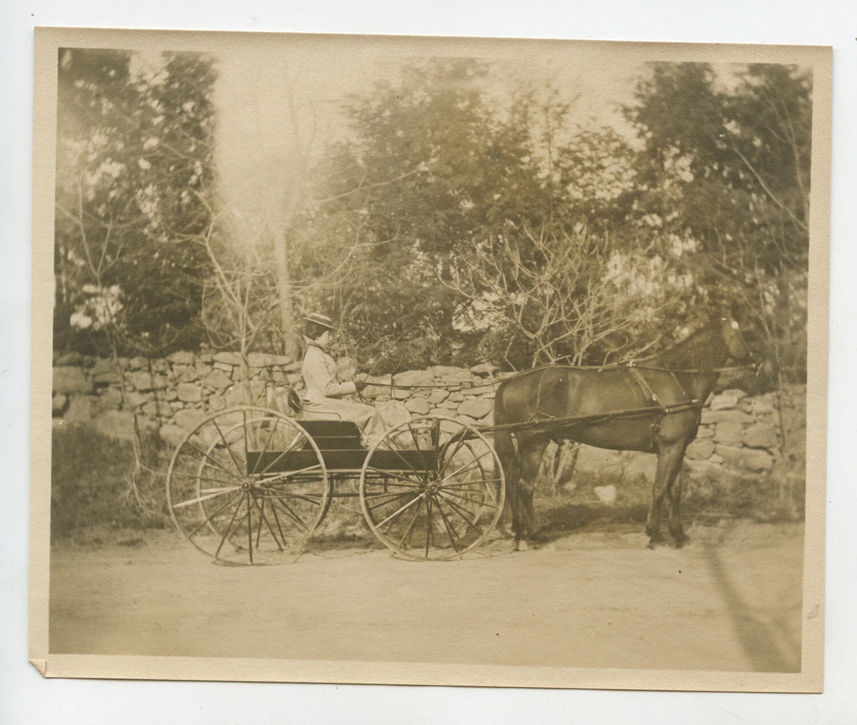 LADY DRIVING HORSE DRAWN CARRIAGE PHOTO