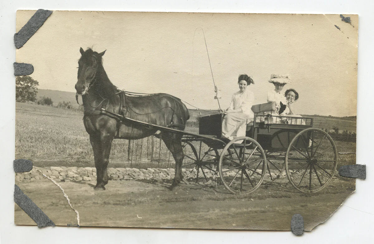 3 LADIES OUT FOR FUN SUNDAY DRIVE HORSE WAGON 1920s PHOTO