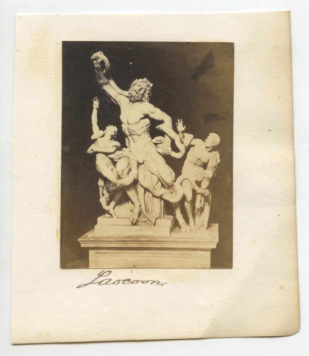 VINT PHOTO LAOCOON AND HIS SONS GREEK MYTHOLOGY STATUE SNAKE + MAN