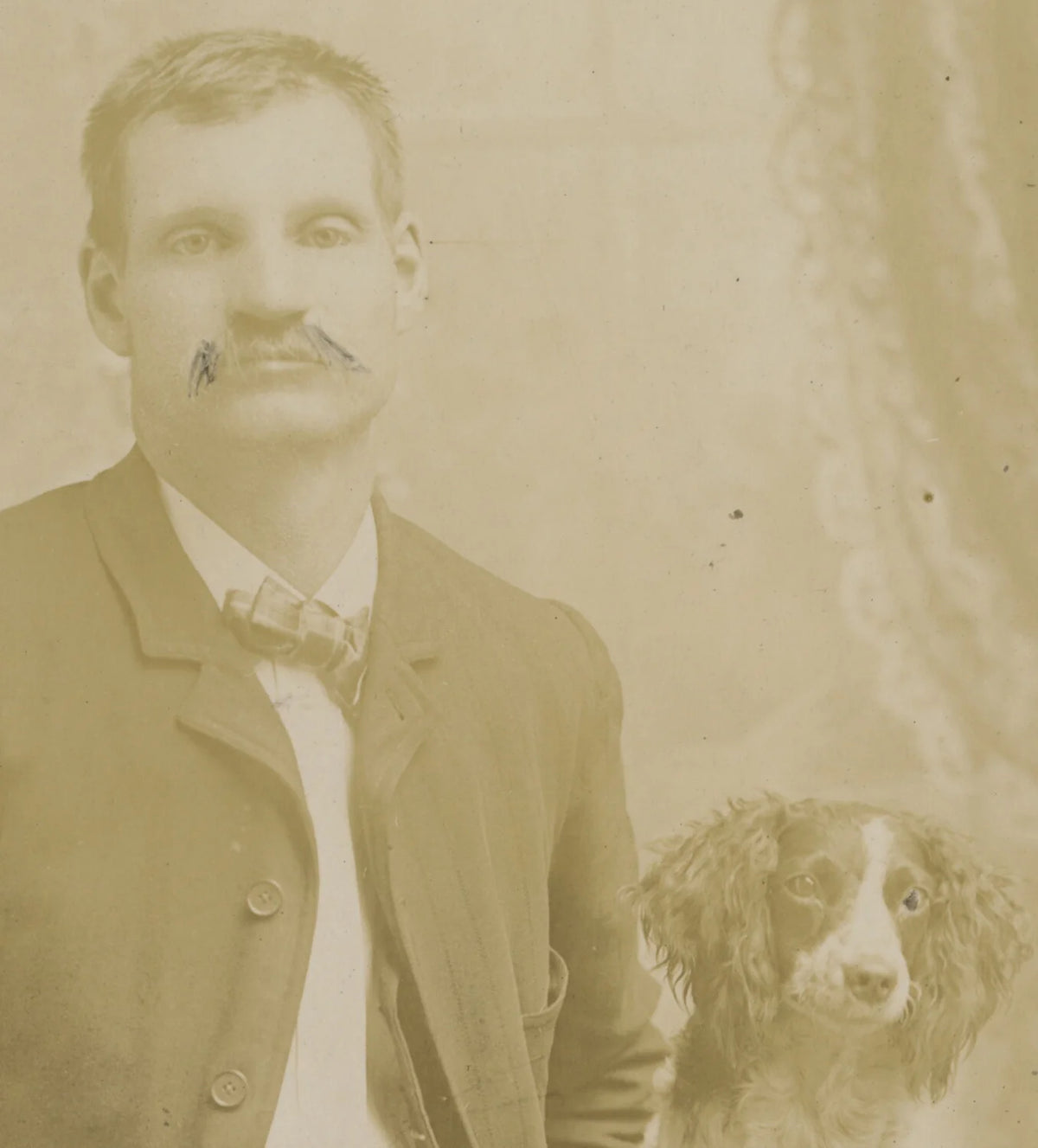 DOG, MERCER, PA, CAB PHOTO