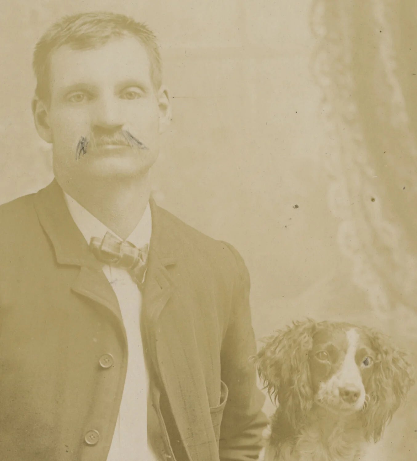 DOG, MERCER, PA, CAB PHOTO
