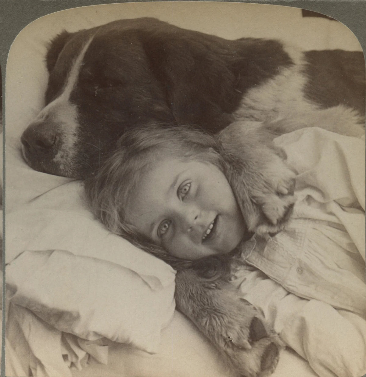 GIRL SMILING W/ FAMILY DOG, ST BERNARD, VINT PHOTO