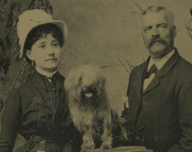 DOG, 1/6 PLATE TINTYPE