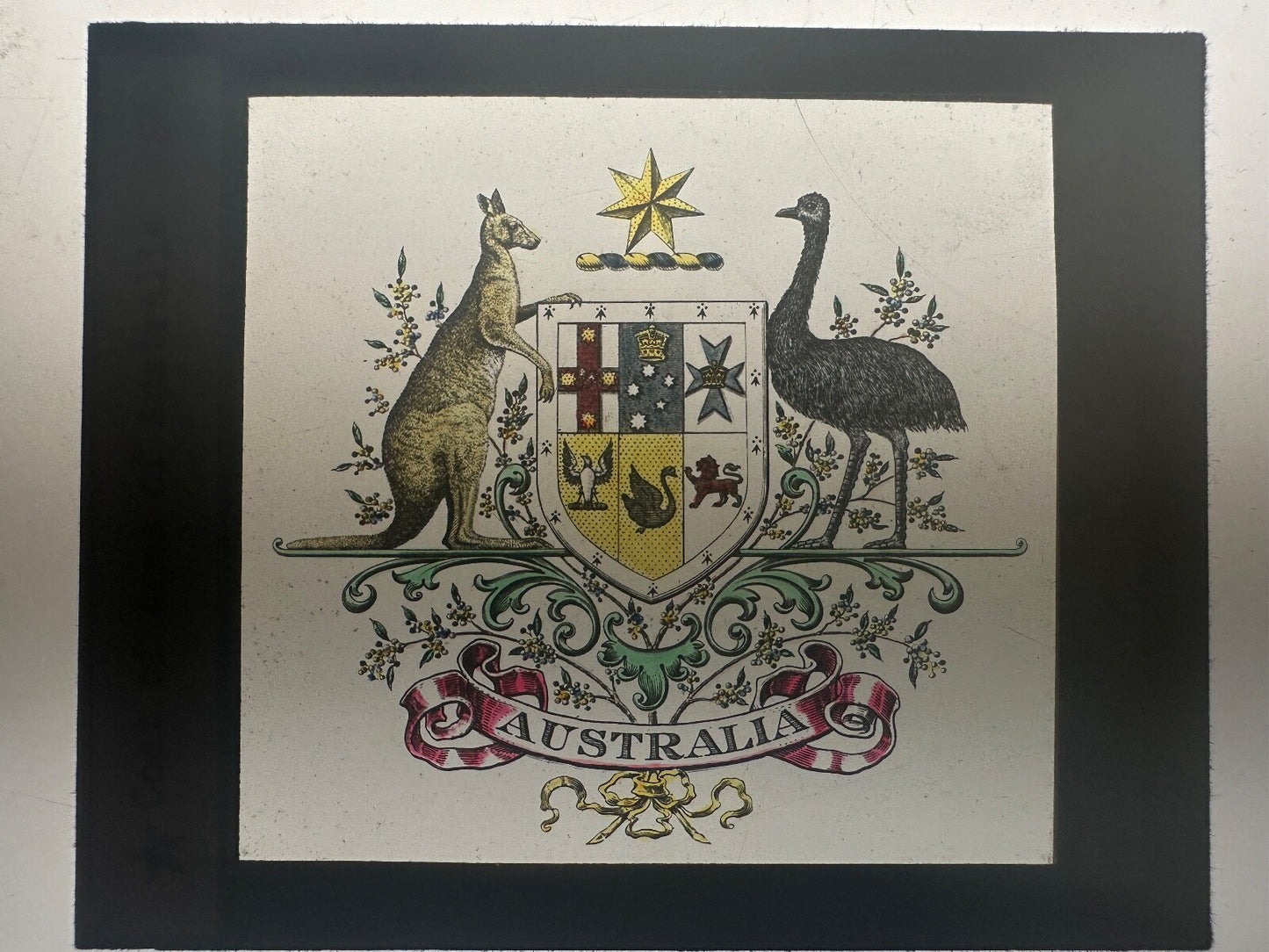 Hand Tinted Vintage Lantern Slide: Coat of Arms Australia Illustrated