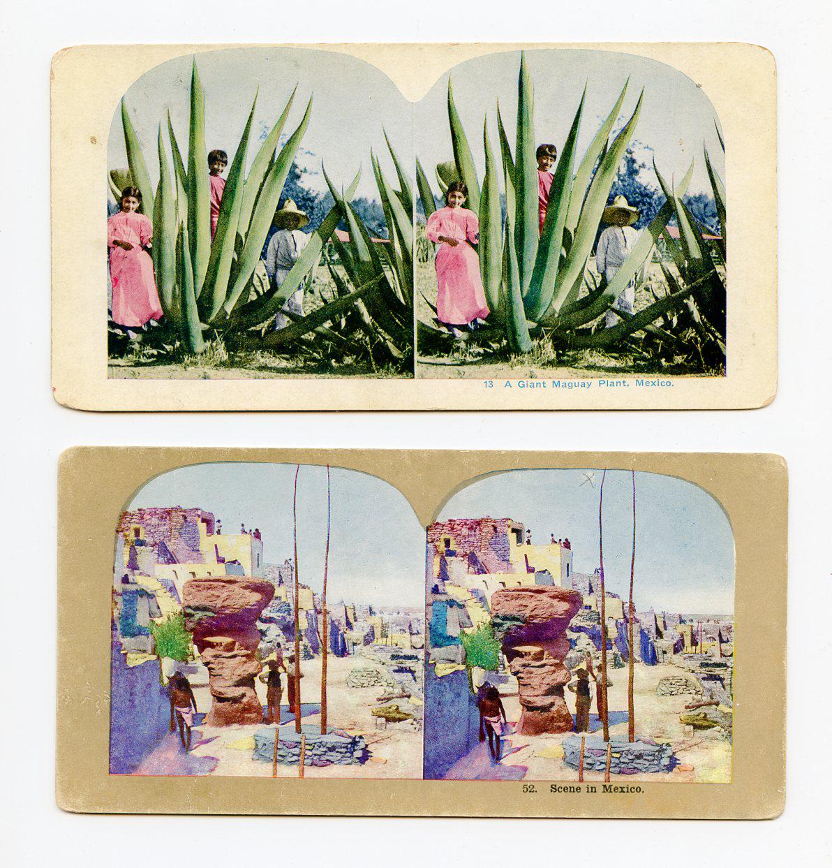 Antique Stereoviews Lot of Five, Views of Mexico Streets and Plants