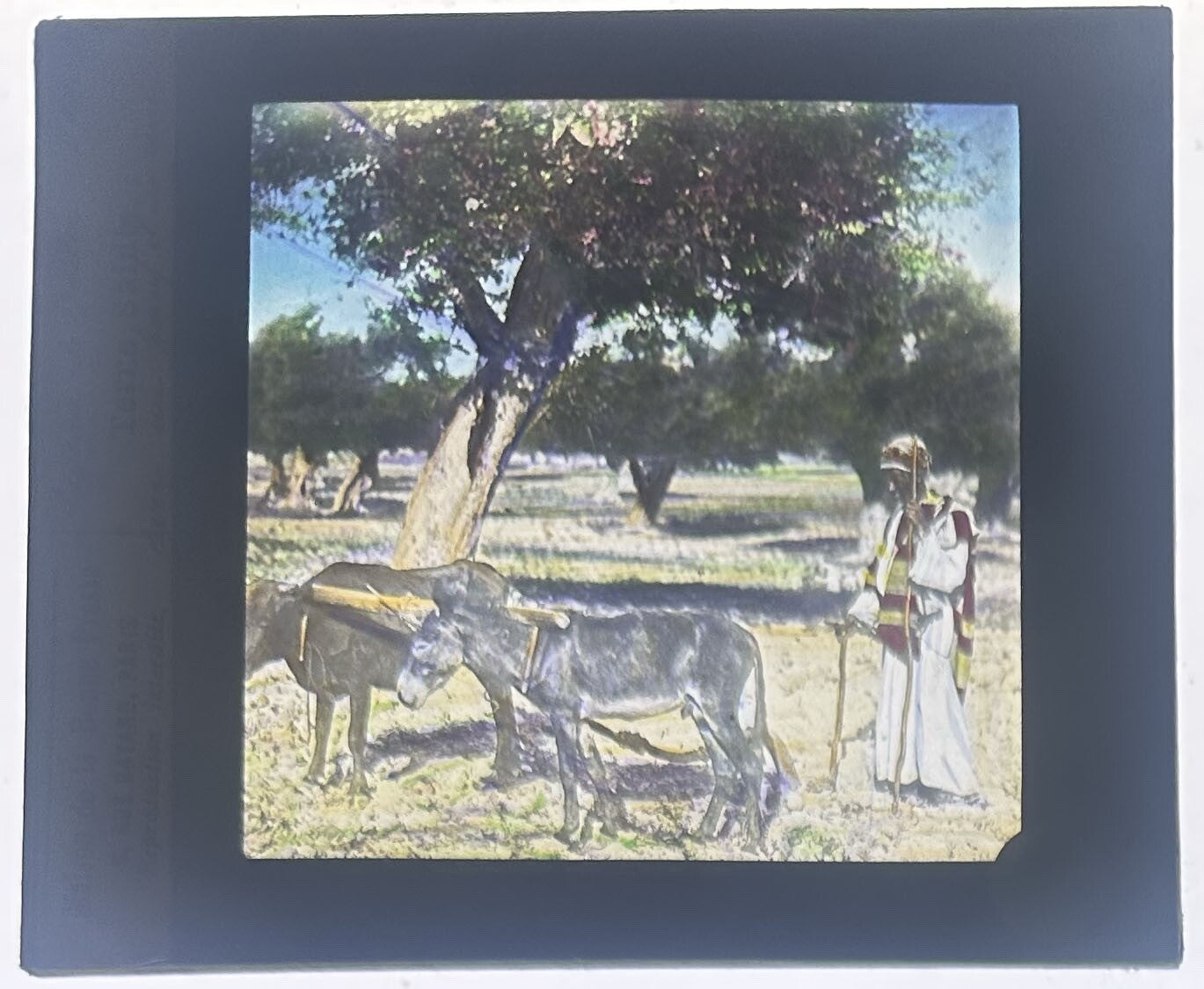 Vintage lantern slide - hand-tinted photo on glass, PLOWMAN LEBANON, 3.25x4 in,