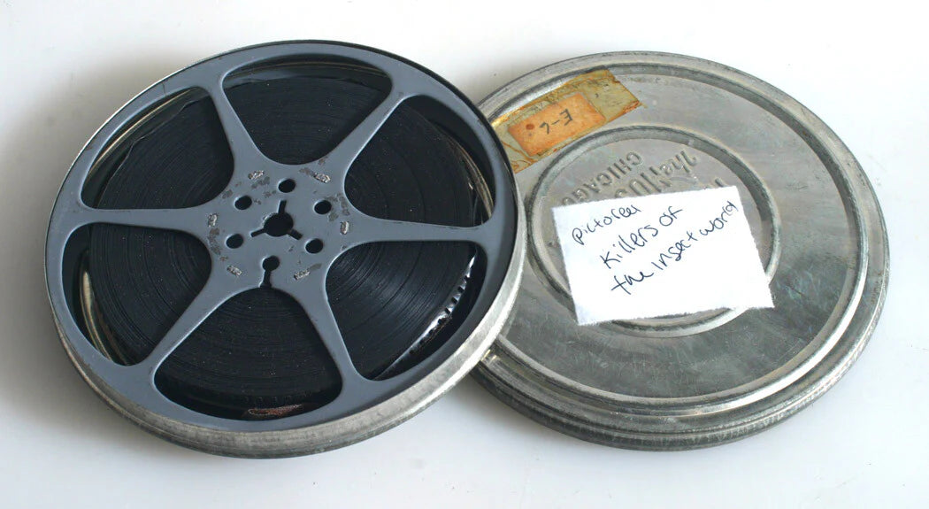 KILLERS OF THE INSECT WORLD, 8MM SHORT FILM