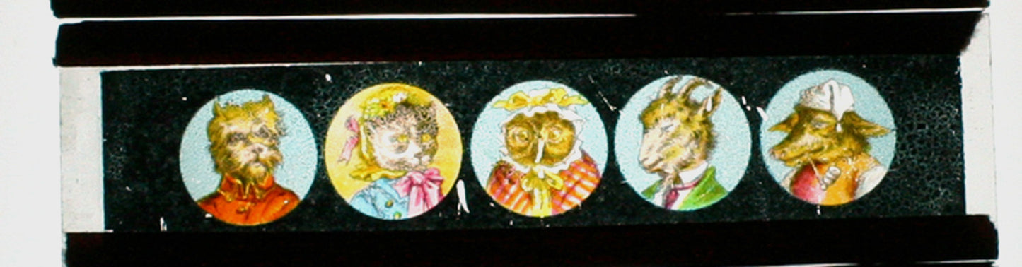 MAGIC LANTERN SLIDE, COLOR. ANIMAL CHARACTERS//CARTOON//ILLUSTRATION