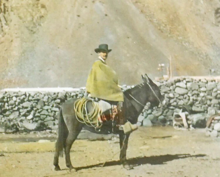 DONKEY MAN TRAVELER HAND TINTED ANTIQUE PHOTO ON GLASS
