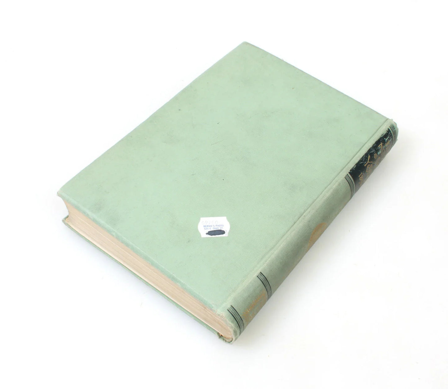 Notable New Yorkers of 1896-1899 Book By Moses King