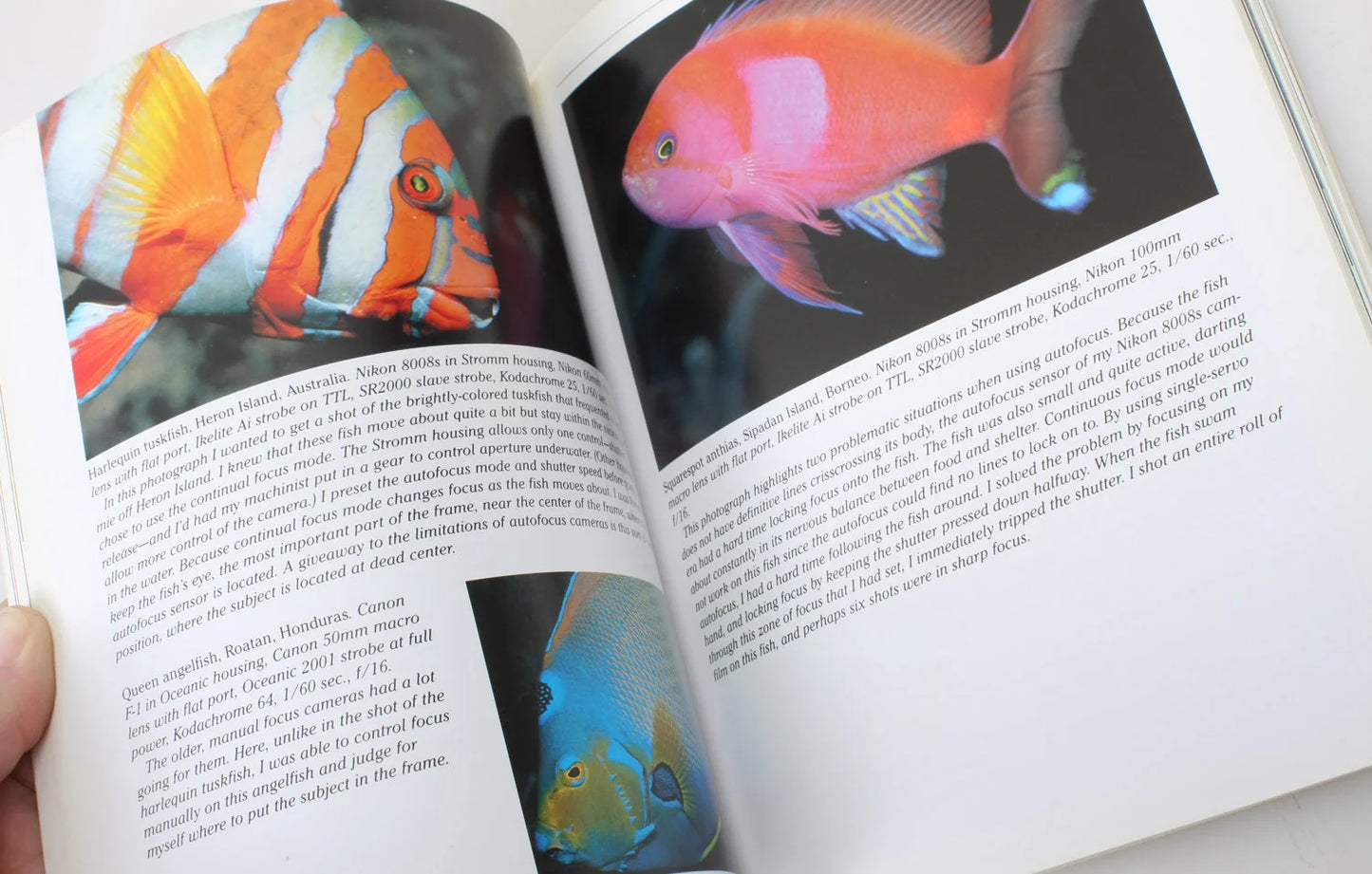 How to Photograph Underwater Book 1994//Self Help Photography//Non-fiction
