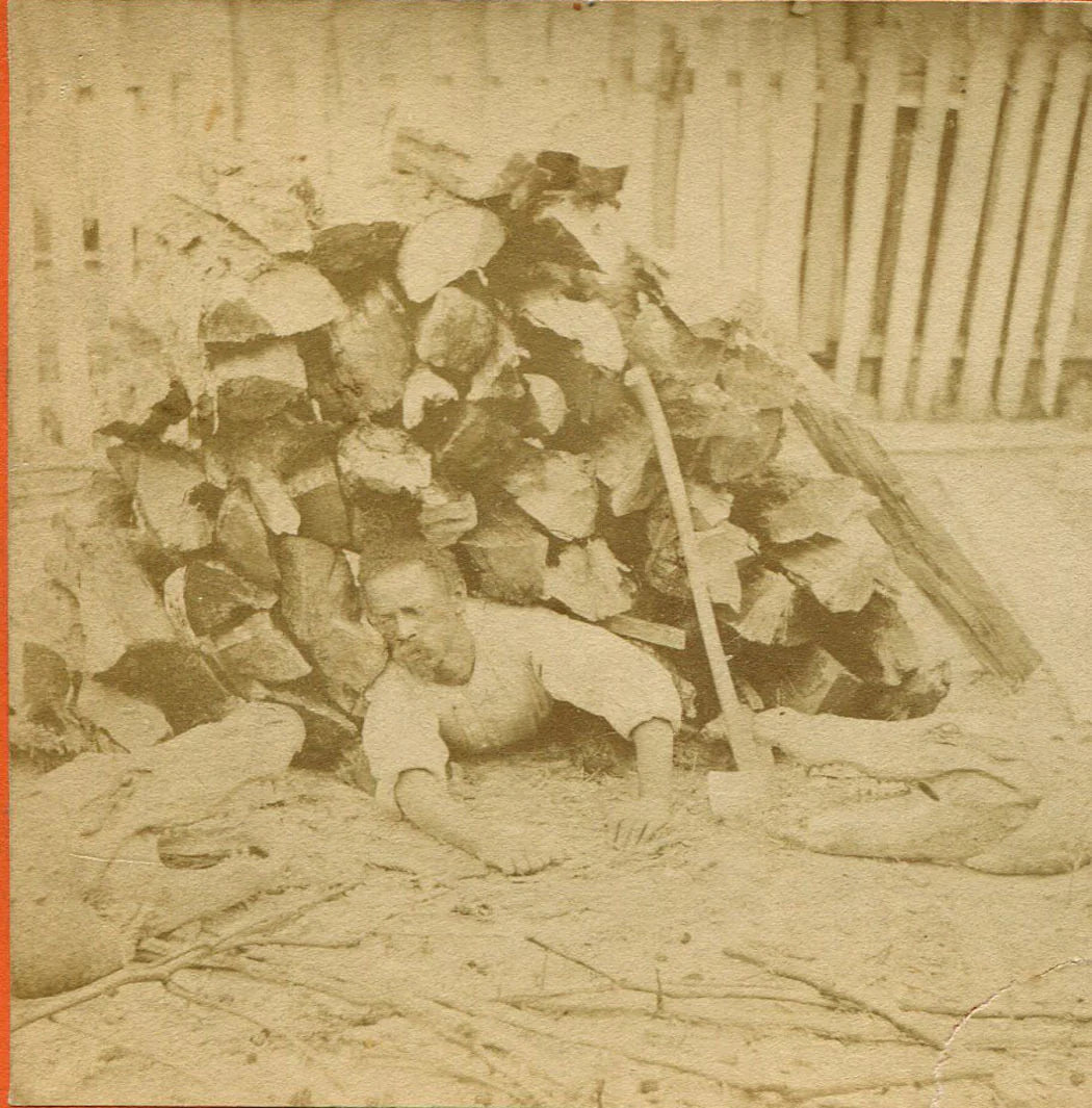 AFRICAN AMERICAN MAN FACES OFF AGAINST ALLIGATOR FROM WOODPILE. STEREO VIEW.