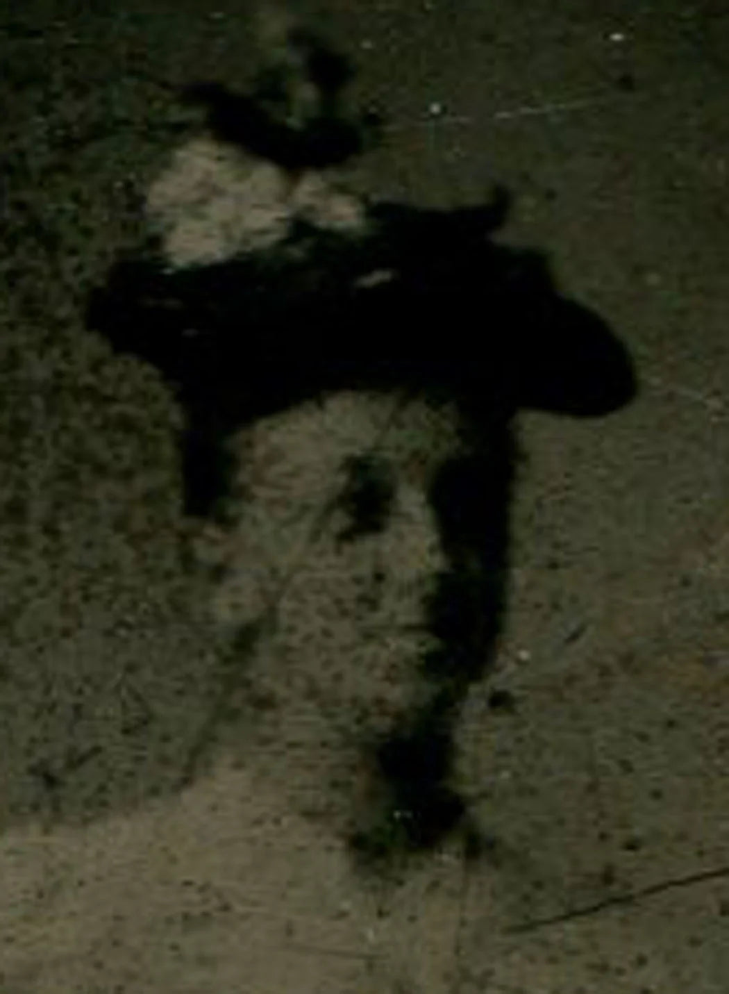 AFRICAN AMERICAN WOMAN WEARING HAT STANDING AT GATE. PAINTER BACKGROUND,TINTYPE.