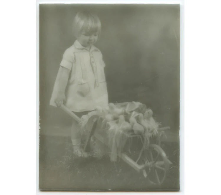 PICTORIALISM MILK GLASS. LITTLE GIRL WITH BABY CHICKS IN WHEELBARROW. OPALTYPE.
