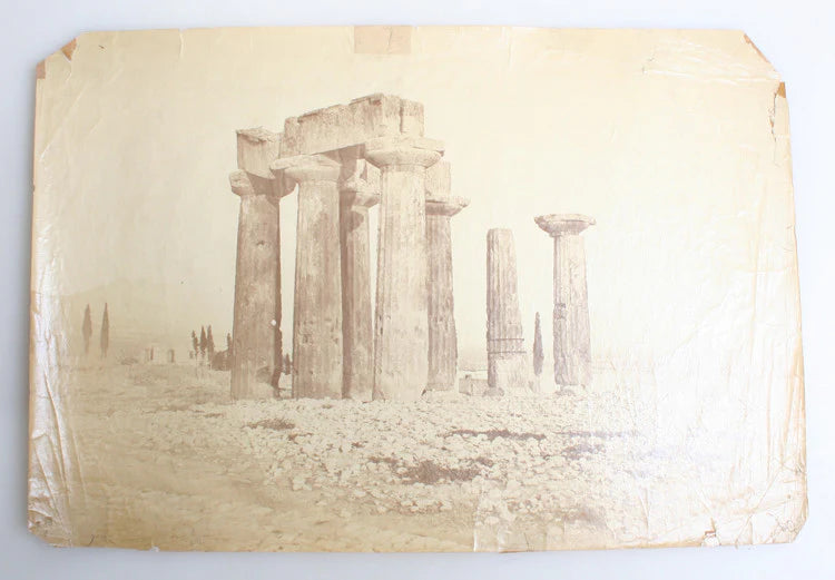 9X12 ALBUMEN PHOTO OF GETHSEMANE GARDEN WHERE JESUS CHRIST SLEPT - JERUSALEM