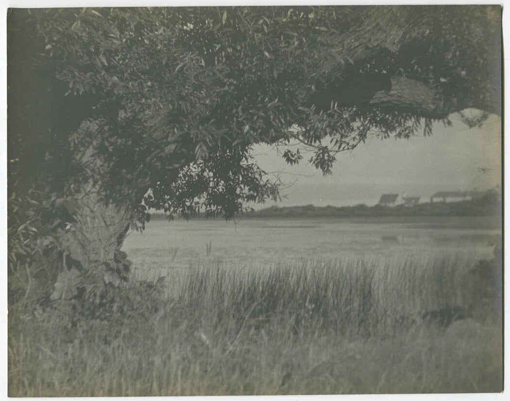 PHOTO PICTORIALISM, VINTAGE. VIEW THROUGH THE TREES AND GRASS OF THE WATER.