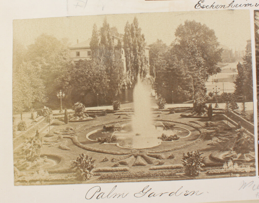 PALM GARDEN ON THE MAIN, FRANKFURT, GERMANY. 8x10 reprint