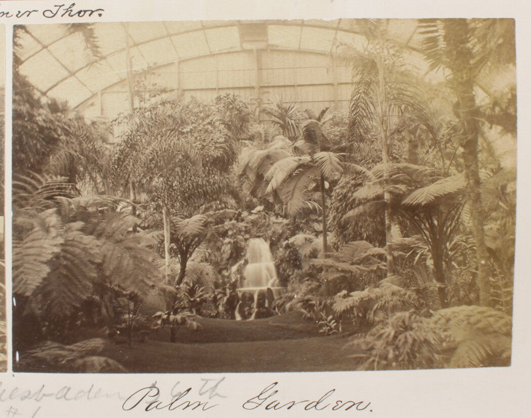 Vintage 8x10 Photo Print Palm Garden Frankfurt, Germany - Palmengarten Wall Art,
