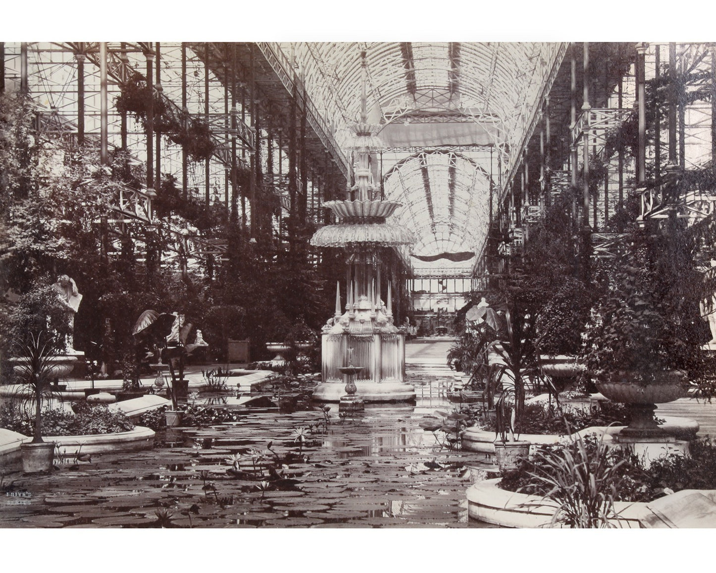 Stunning Vintage Crystal Palace Interior Garden Photo – Hyde Park, London, 8x10