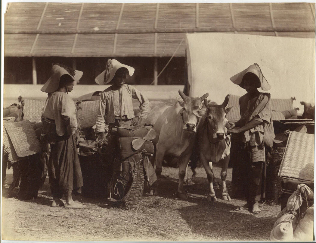 RURAL WOMAN MANAGE LIVESTOCK AND MARKET GOODS. ASIA. UNMOUNTED ALBUMEN 8 X 10.5