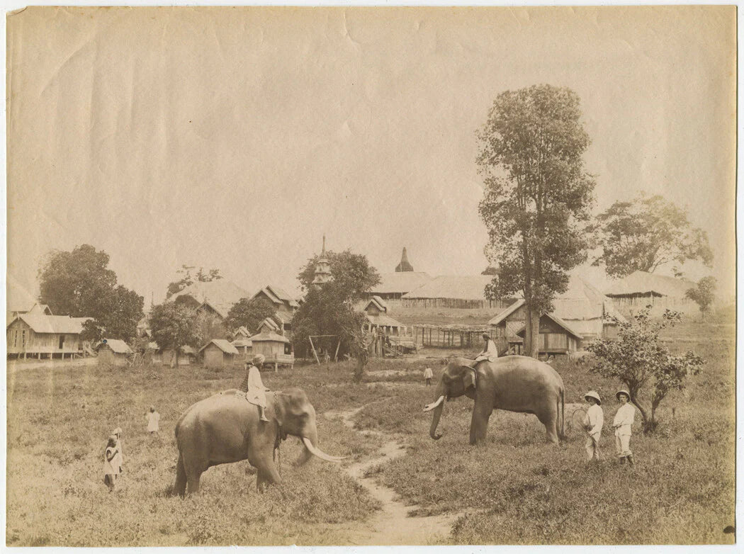 ELEPHANTS AT WORK. BURMA. UNMOUNTED ALBUMEN, 7.5 X 10.50 INCHES.