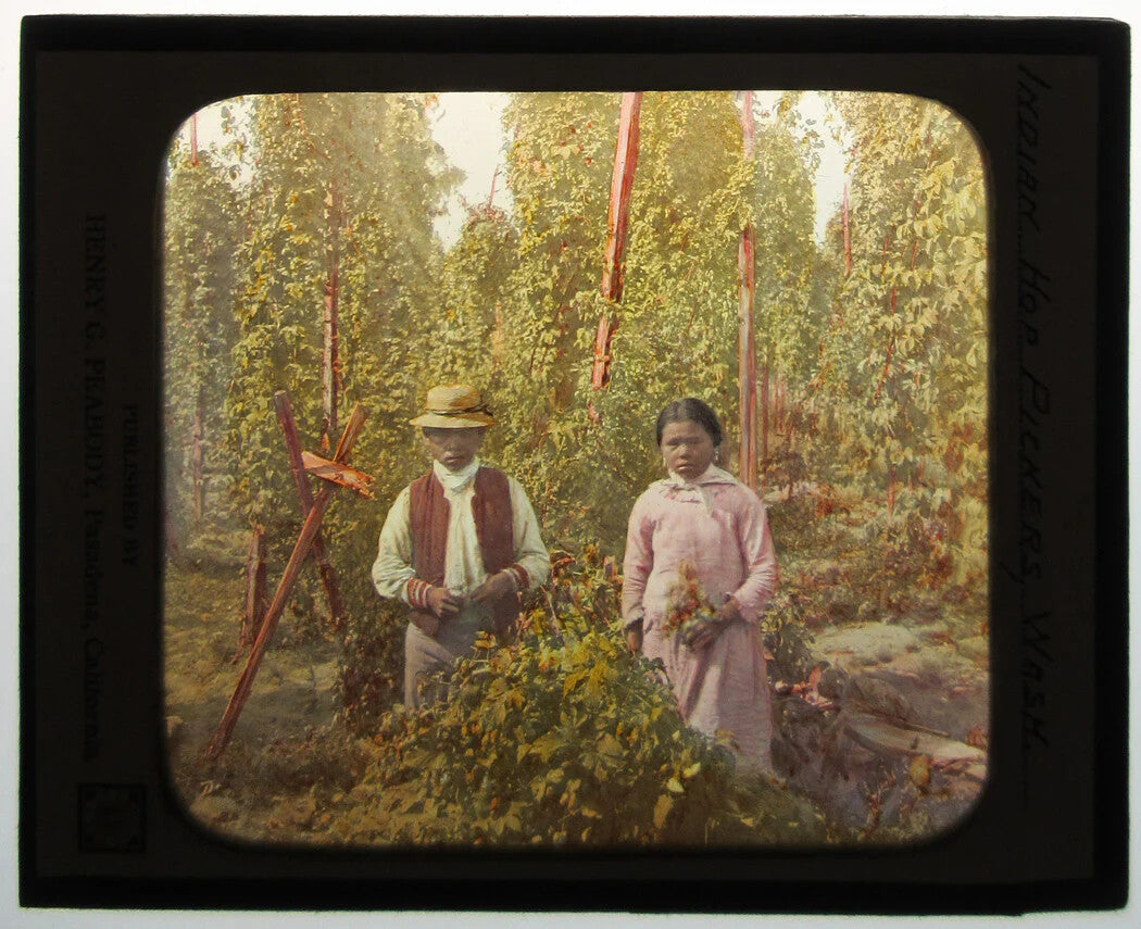 NATIVE AMERICAN COUPLE TENDING HOP PLANTS. PHOTO ON GLASS, HAND COLORED.